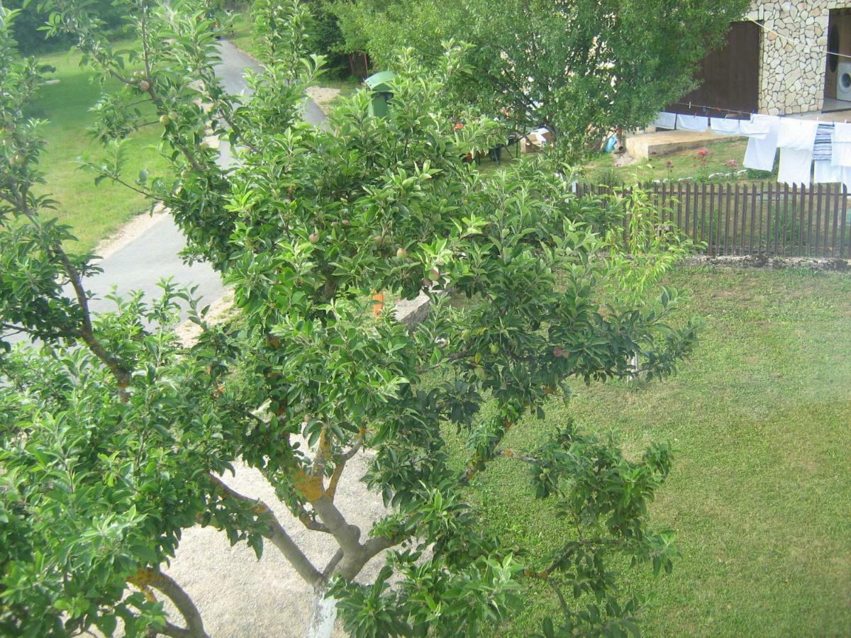Apartment Jopa Korenica Zewnętrze zdjęcie