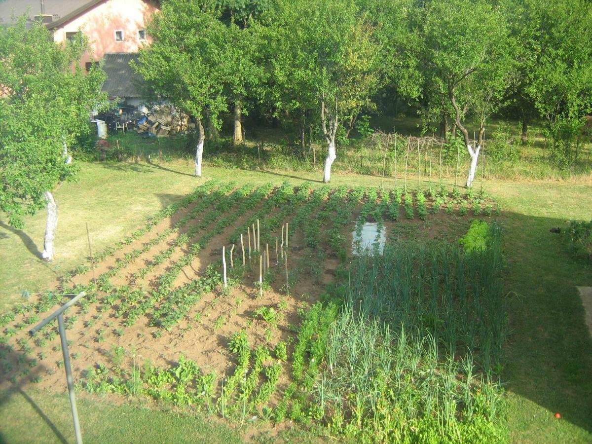 Apartment Jopa Korenica Zewnętrze zdjęcie