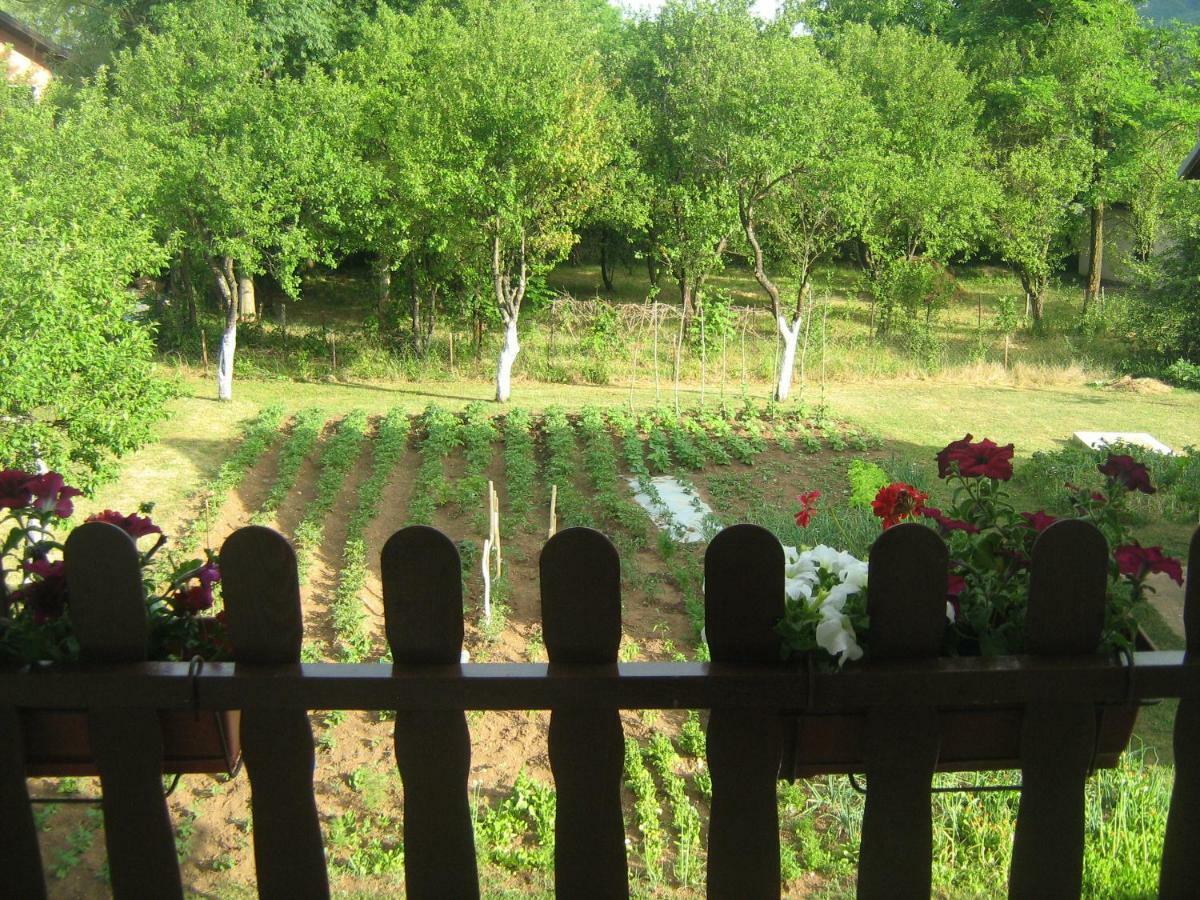 Apartment Jopa Korenica Zewnętrze zdjęcie